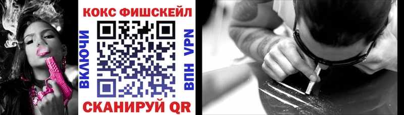 где можно купить   Палласовка  COCAIN Fish Scale 